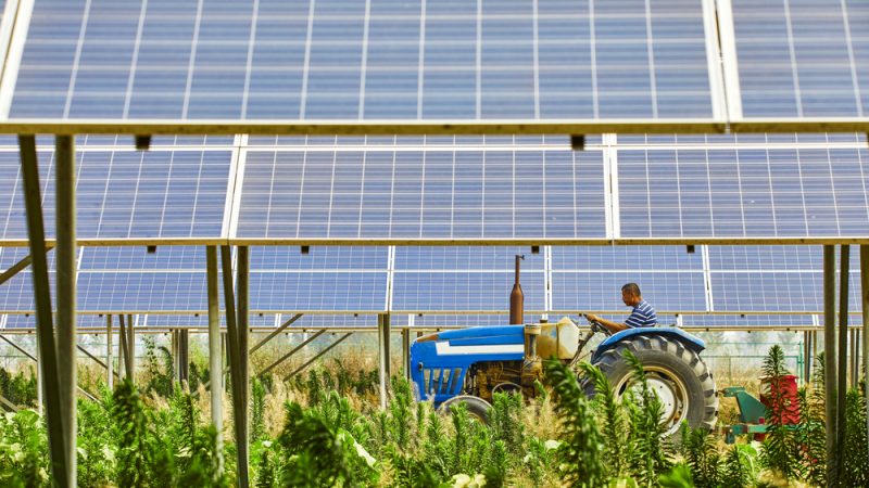 Installation agrivoltaïque avec des panneaux solaires et un tracteur sur une parcelle agricole, illustrant l'intégration de la production d'énergie solaire avec l'agriculture.